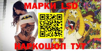 гидра Заводоуковск