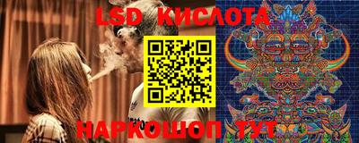 шишки Жуковский