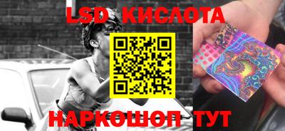 шишки Жуковский