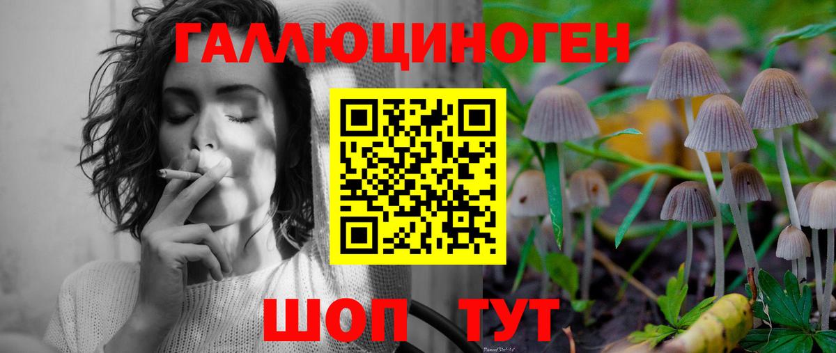 Псилоцибиновые грибы GOLDEN TEACHER Лангепас